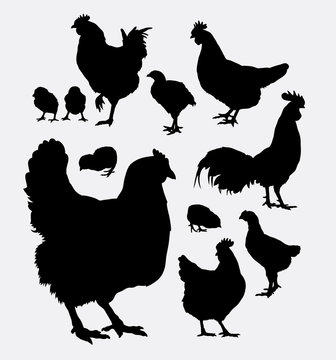 Chicken, rooster, hen animal silhouettes