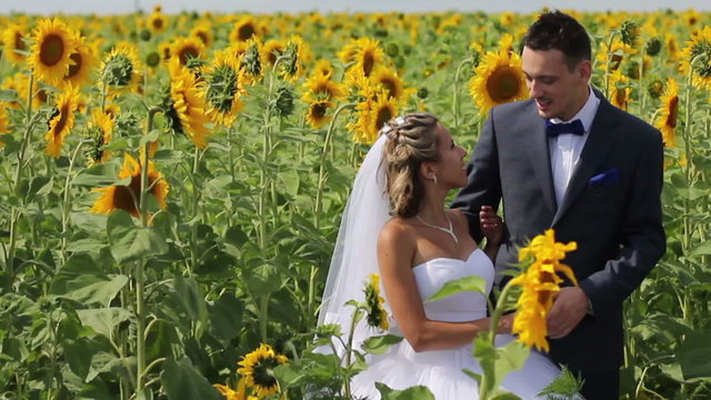 couple at sunflower field 06