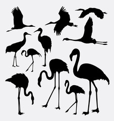 Naklejka premium Flamingo in action silhouettes