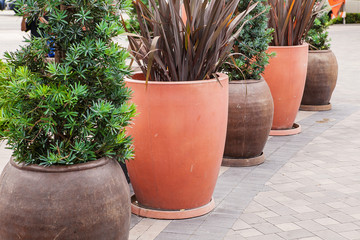 Classic huge flower pots