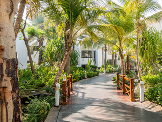 Fototapeta premium Tropical garden of hotel in Dubai, United Arab Emirates