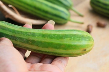 Vegetables fresh cucumber