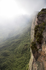 Tropical forest and huge cliff in Mount Roraima, Venezuela