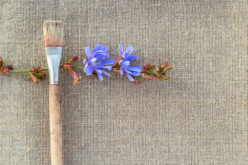 Paintbrush and chicory flower on sacking