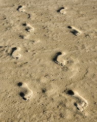 footprints on a beach