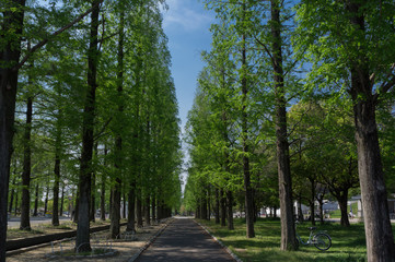 Gravel road of Turumi park in Osaka,Japan.