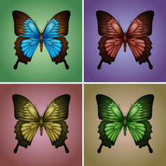 Butterflies in four colors