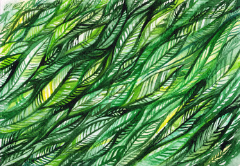 watercolor green leaves and a line, card, abstract background