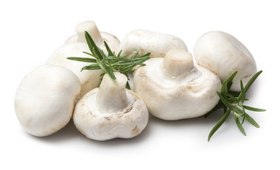 Champiñones frescos sobre fondo blanco