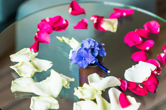Groom's Boutonniere