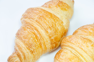 Fresh Butter Croissant on white background