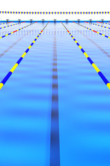 50mプールの長いコース