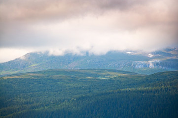 Cloudy mountain forest. Scenic landscape near Ostersund in Northern Sweden before thunderstorm on a summer day.