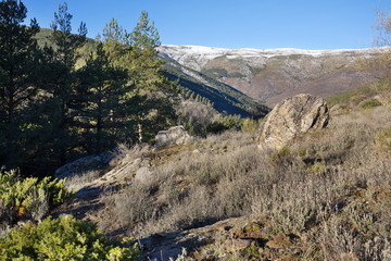 Sierra Norte. Guadalajara. España.
