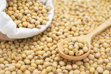 Soy beans focus on wooden spoon