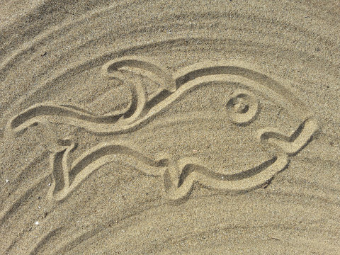 fish draw on the sand