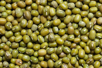 Green Beans