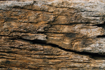Old wood background