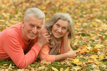 Fototapeta premium happy senior couple 