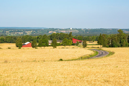 View of rural landscapes with corn field