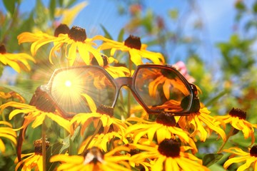 sonnenbrille und sonnenblumen
