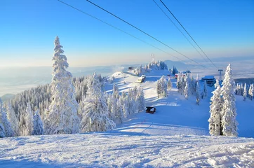 Foto op Plexiglas Sky slope on mountain in Brasov winter resort © cristianbalate