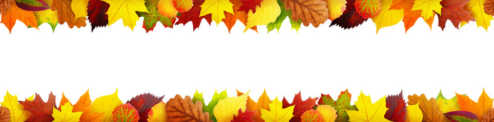 Seamless frame with autumn leaves - Powered by Adobe