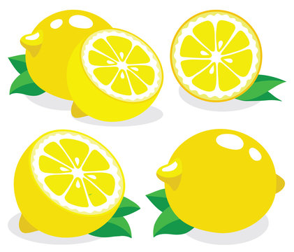 Fresh lemons, collection of vector illustrations