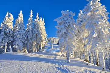 Fotobehang Prachtig winterlandschap, skihelling in Poiana Brasov op berg - Roemenië © cristianbalate