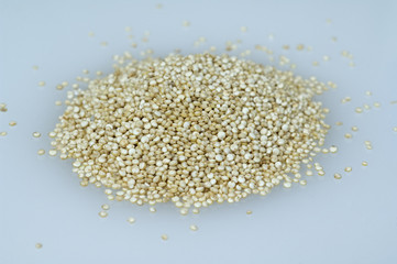 Quinoa; chenopodium,