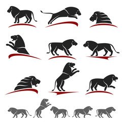 Fototapeta premium Lion set. Vector