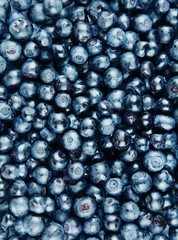 Blueberry background