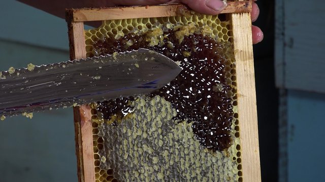 uncapping frames/ray release of filled honey prior to extraction
