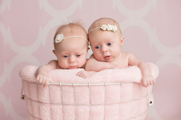 Twin Baby Girls Sitting in a Wire Basket