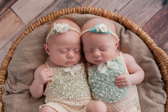 Twin Baby Girls Sleeping In A Wicker Basket