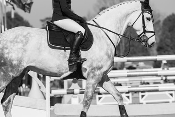 Horse Rider Poles Abstract  Vintage