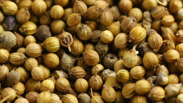 Close up shot coriander seeds. 4K footage.
