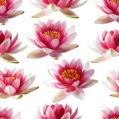 Naklejka na ściany i meble Lotus flowers seamless pattern