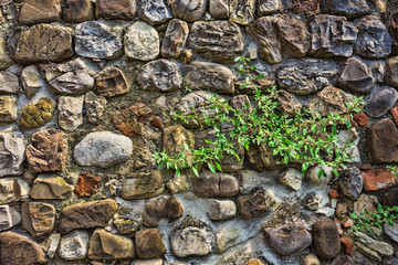 Texture of rock wall overgrown with moss