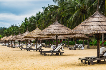 Beach chairs and umbrellas