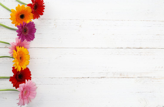 Gerbera Hintergrund