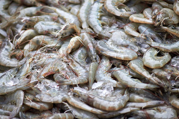 Fresh shrimp is in the fresh market.