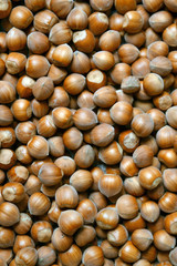 nocciole