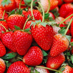 Fresh ripe perfect strawberry