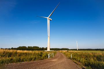 Wind turbine farm with blue sky