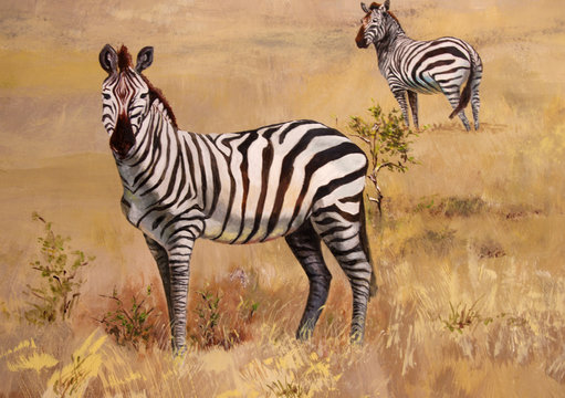 Zebra portrait on African savanna.