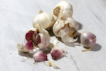 Garlic