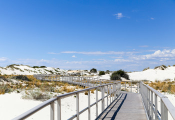 Interdune boardwalk