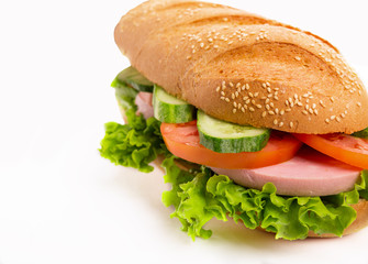 Sandwich on white