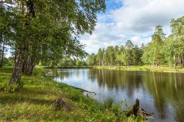 летний пруд в лесу, Урал Россия